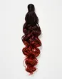 Image de THE FEME COLLECTION PONYTAIL - SASHAY